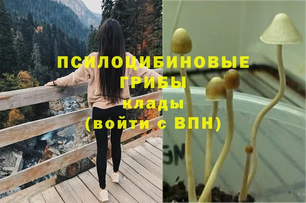 ПСИЛОЦИБИНОВЫЕ ГРИБЫ Алзамай