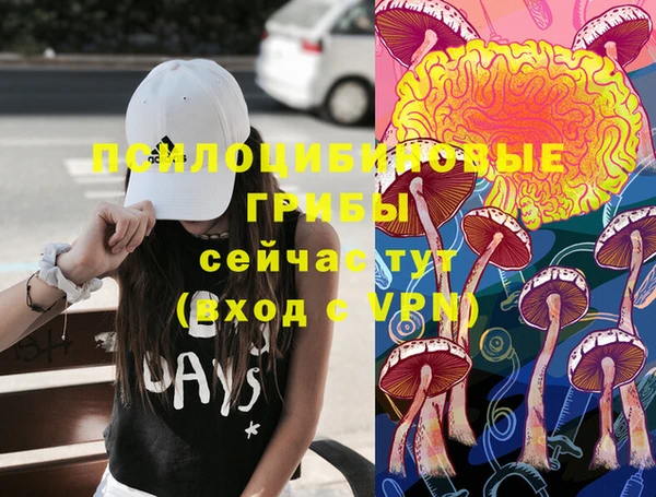 ПСИЛОЦИБИНОВЫЕ ГРИБЫ Алзамай