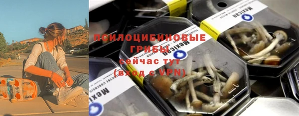 ПСИЛОЦИБИНОВЫЕ ГРИБЫ Алзамай