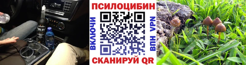 Псилоцибиновые грибы мухоморы  Севастополь 
